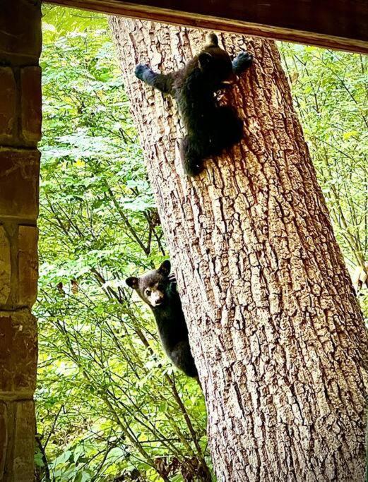 Moonshine Manor-Pets Ok-W/D-Pool Table-Arcade-Hot Tub Villa Gatlinburg Dış mekan fotoğraf